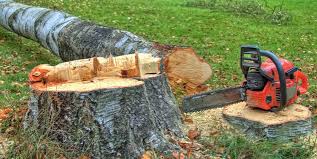 Best Stump Grinding and Removal  in Energy, IL